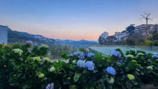 The Luxe Da Lat - 320