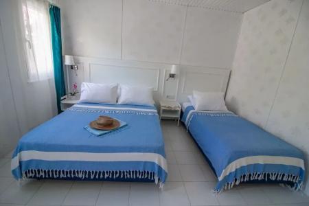 Blue & White - 3