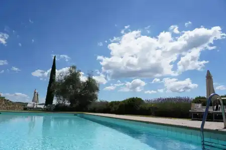 Dievole Wine Resort - 33