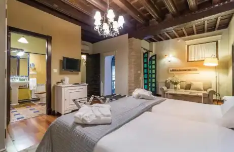 Palacio de Mariana Pineda - 42