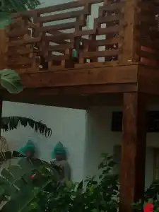 El Varadero - 55