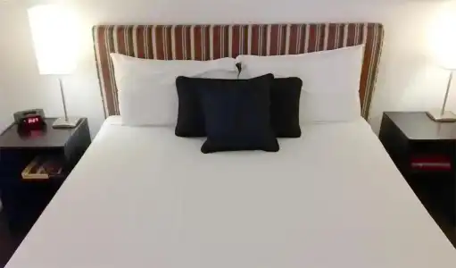 Best Western Cattle City Motor Inn - 55