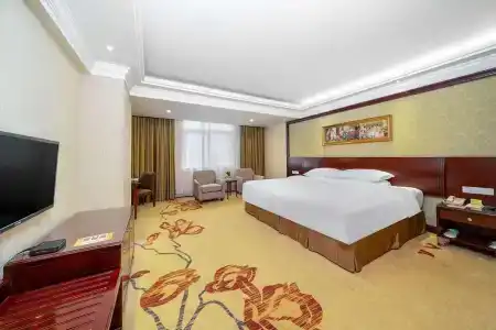 Vienna Dongguan Houjie Exhibition Center - 16