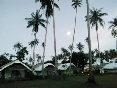 Naivacha Tent Koh Mak - 3