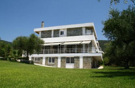 Notos Kardamili - 12