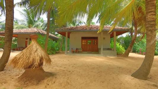 Mangrove Beach Chalets - 30