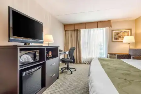 Quality Inn & Suites - 44