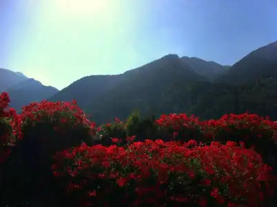 Pyrénées - 22