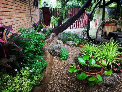 Boutique House Nipha - 8