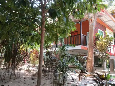 Khao Sok Island Resort and Spa - 44