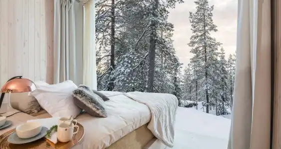Arctic TreeHouse - 28