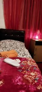 Asine Yerevan - 34