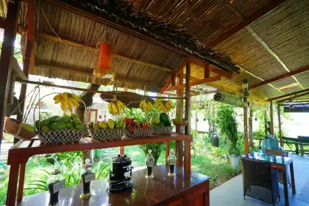 Hoi An Chic Green Retreat - 26