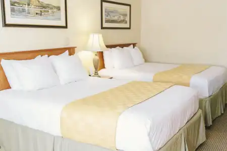 Lavissh Inn and Suites - 2