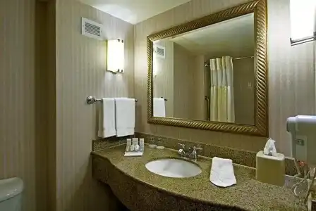 Hilton Garden Inn Carlsbad Beach - 110