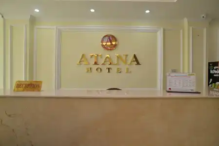 Atana Airport - 1