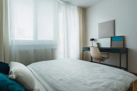 Business & Family Ambiente Apartments - 76
