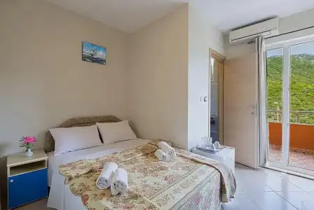 Vila Ivanovic - 1