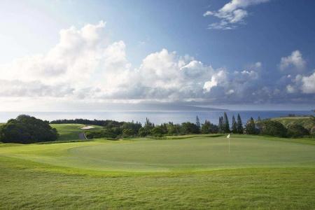 The Resort at Kapalua Bay, Maui - 9