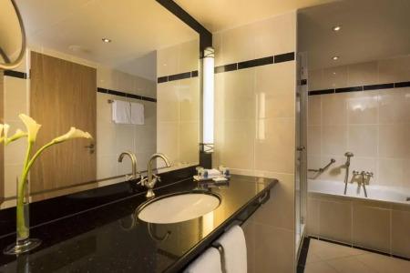 Maritim Dresden - 102