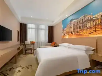 Vienna Classic Guangzhou Yanling Road - 41