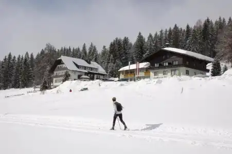 Tischlbergerhof - 23