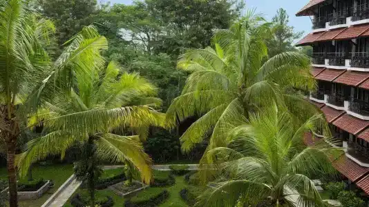 Mustika Yogyakarta Resort and Spa - 110
