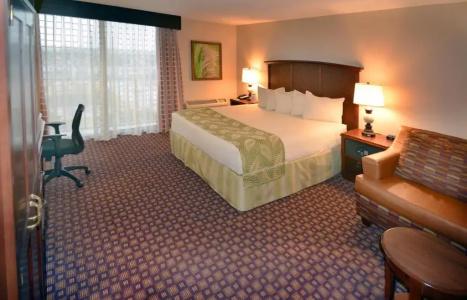 Rosen Inn, closest to Universal - 61