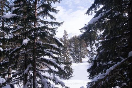 Lake Courchevel 1850 - 36