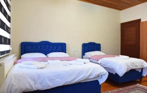 ÖZ Butik Otel Antik Kent Myrleia - 47