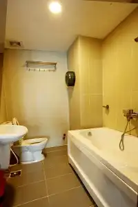 Hoa Bao - 99