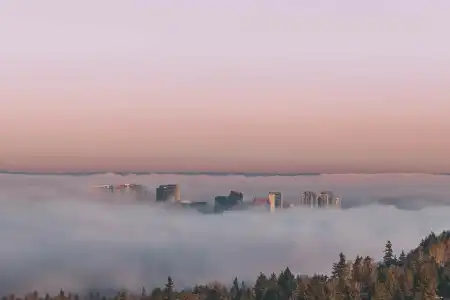 W Bellevue - 27