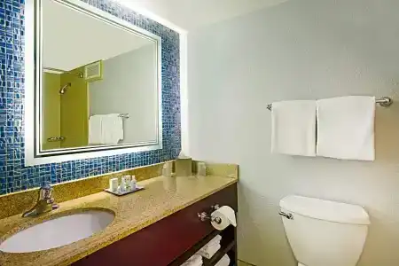 Wyndham Garden Lake Buena Vista – Disney Springs® Area - 127