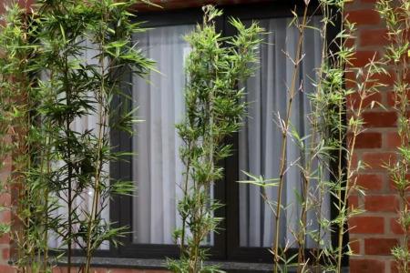 Hoang Loc Villa - 74