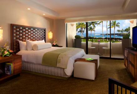 Hilton Waikoloa Village - 149