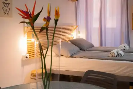 Residence Trieste - 48