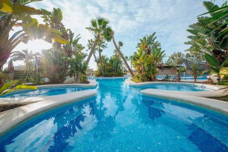 Alannia Guardamar Resort - 26
