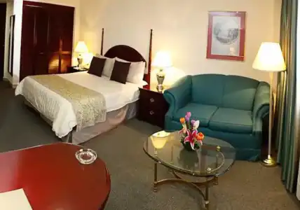Pedregal Palace - 32
