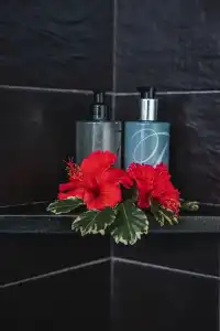 Villas de Jardin Self-Catering - 69