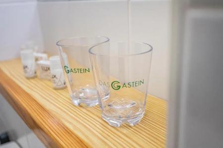 Das Gastein - including Alpentherme entrance all year and including "Gasteiner Bergbahnen" during summer season - 29
