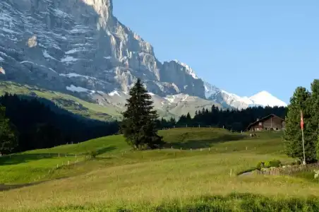 Aspen alpin lifestyle Grindelwald - 67