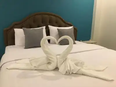 ZLEEP D - 50