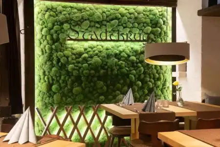 Stadtkrug - 16