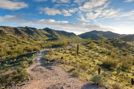 WorldMark Phoenix - South Mountain Preserve - 35