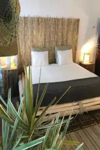 Cactus Host - 0