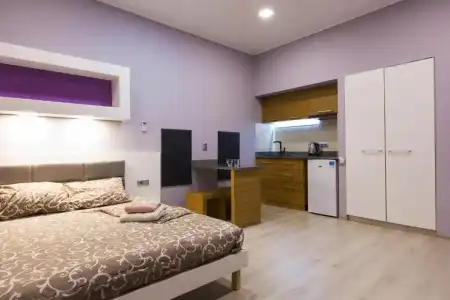 Pushkinskaya Apartments - 3