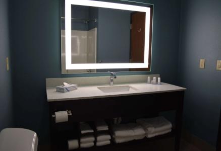 Wingate by Wyndham College Station South - 6