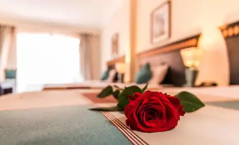 Seagull Beach Resort - Families and Couples Only - 37