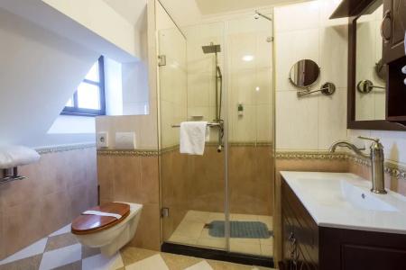 Zámek Lužec Spa & Wellness Resort - 9