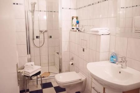 Hotel-Pension am Böhmepark - 6